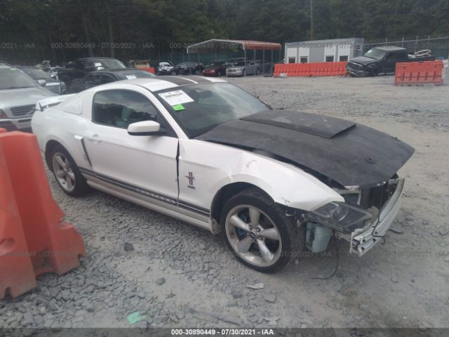 FORD MUSTANG 2013 1zvbp8am4d5231493