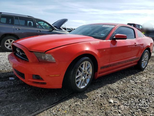 FORD MUSTANG 2013 1zvbp8am4d5241537