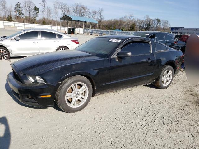 FORD MUSTANG 2013 1zvbp8am4d5244390