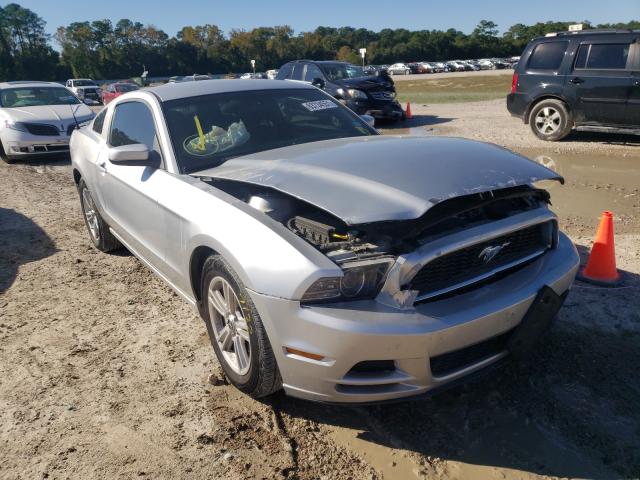 FORD MUSTANG 2013 1zvbp8am4d5249539