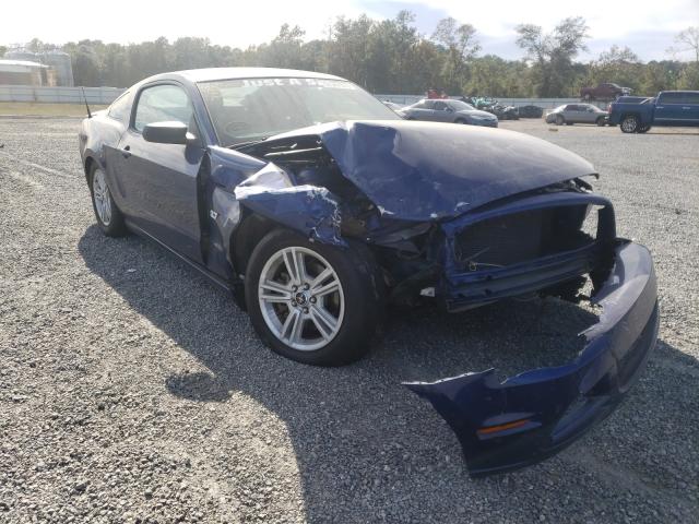 FORD MUSTANG 2013 1zvbp8am4d5250352