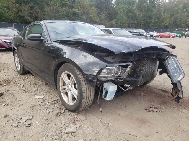 FORD MUSTANG 2013 1zvbp8am4d5252344