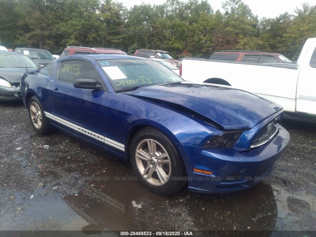 FORD MUSTANG 2013 1zvbp8am4d5253347