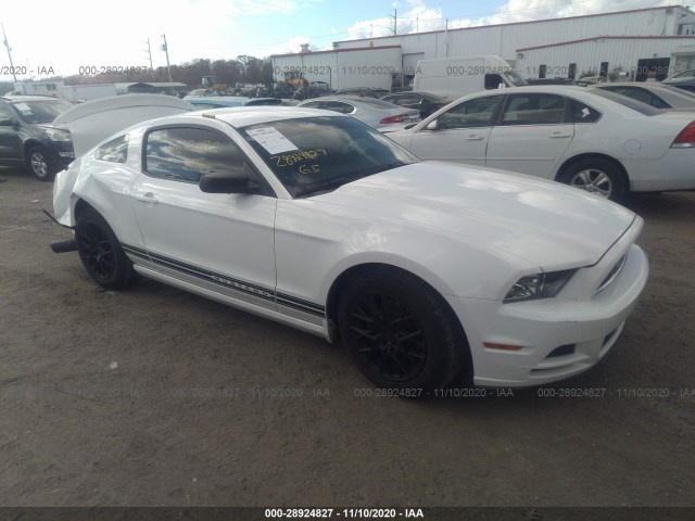 FORD MUSTANG 2013 1zvbp8am4d5257091