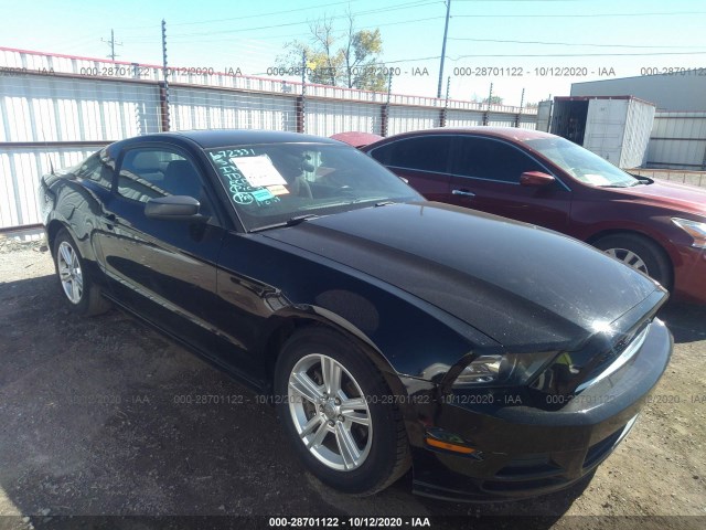 FORD MUSTANG 2013 1zvbp8am4d5259424