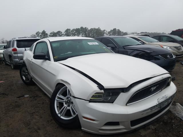 FORD MUSTANG 2013 1zvbp8am4d5259603