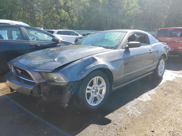 FORD ALL MODELS 2013 1zvbp8am4d5265675