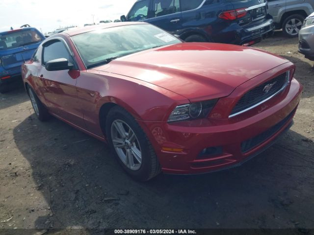 FORD MUSTANG 2013 1zvbp8am4d5270598