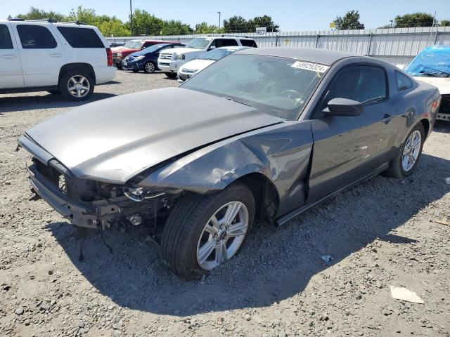 FORD MUSTANG 2013 1zvbp8am4d5275624