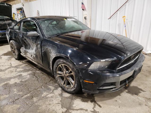 FORD MUSTANG 2013 1zvbp8am4d5276501