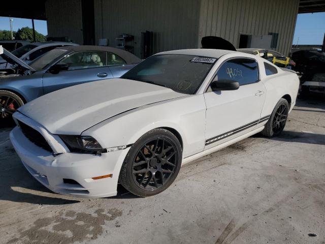 FORD MUSTANG 2013 1zvbp8am4d5277955