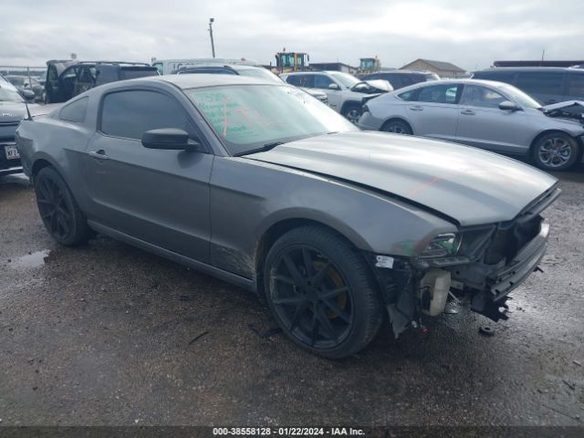 FORD MUSTANG 2013 1zvbp8am4d5278961