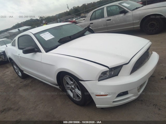 FORD MUSTANG 2013 1zvbp8am4d5279205