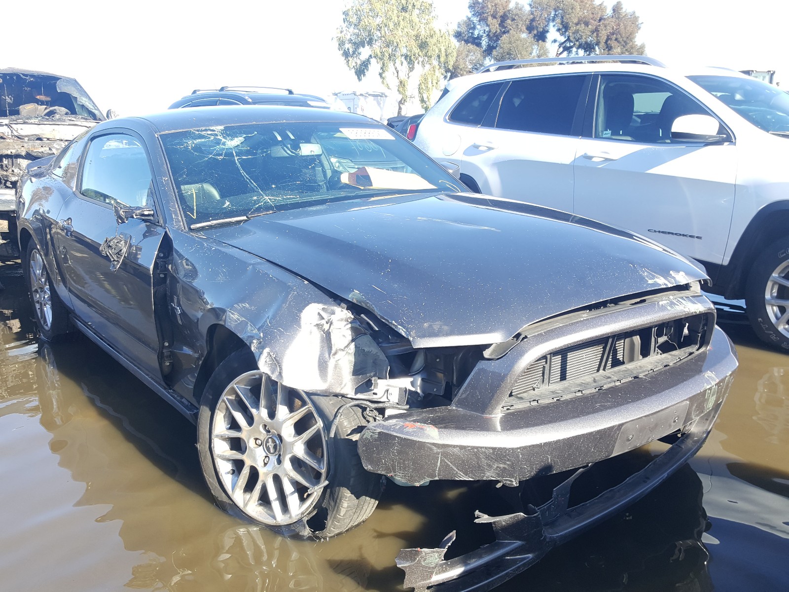 FORD MUSTANG 2014 1zvbp8am4e5210435