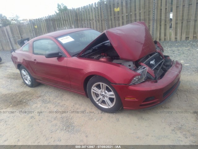 FORD MUSTANG 2014 1zvbp8am4e5228174