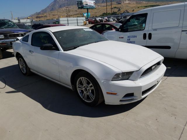 FORD MUSTANG 2014 1zvbp8am4e5239871