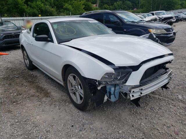 FORD MUSTANG 2014 1zvbp8am4e5245668