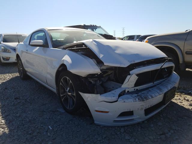 FORD MUSTANG 2014 1zvbp8am4e5264284