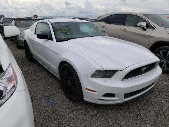 FORD MUSTANG 2014 1zvbp8am4e5277018