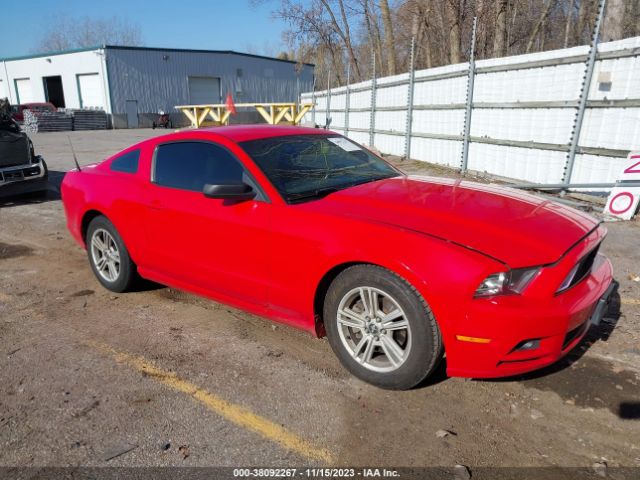 FORD MUSTANG 2014 1zvbp8am4e5277424