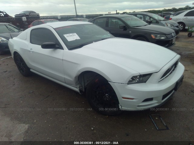 FORD MUSTANG 2014 1zvbp8am4e5277987