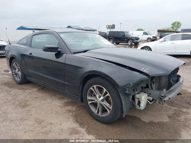 FORD MUSTANG 2014 1zvbp8am4e5281599