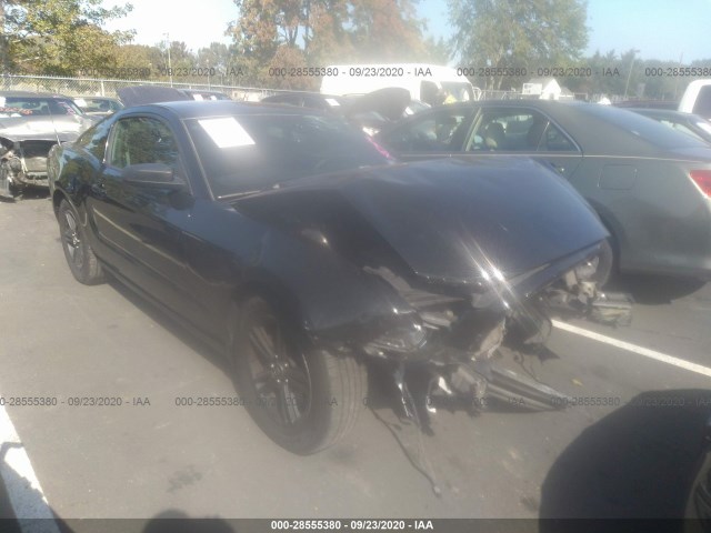 FORD MUSTANG 2014 1zvbp8am4e5282154