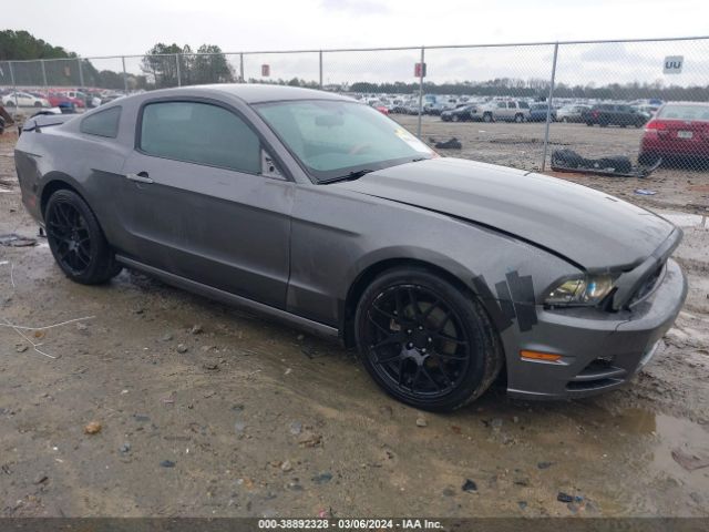 FORD MUSTANG 2014 1zvbp8am4e5282588