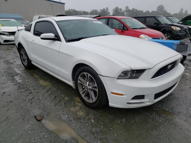 FORD MUSTANG 2014 1zvbp8am4e5296944