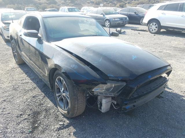 FORD MUSTANG 2014 1zvbp8am4e5302063