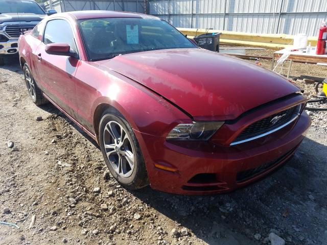 FORD MUSTANG 2014 1zvbp8am4e5311670