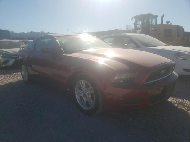 FORD MUSTANG 2014 1zvbp8am4e5315461