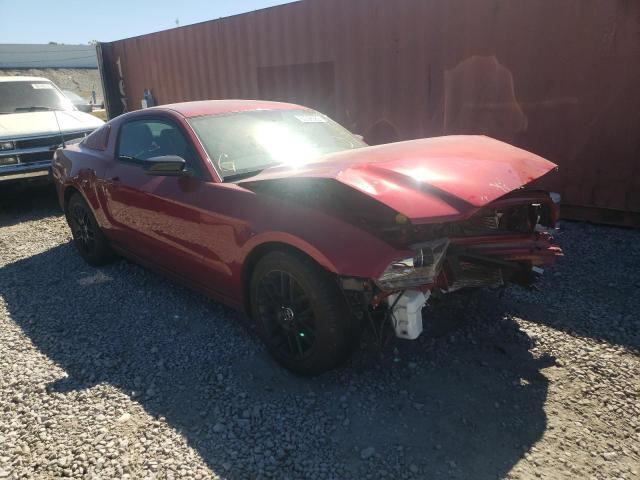 FORD MUSTANG 2014 1zvbp8am4e5318506