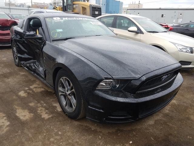 FORD MUSTANG 2014 1zvbp8am4e5320045