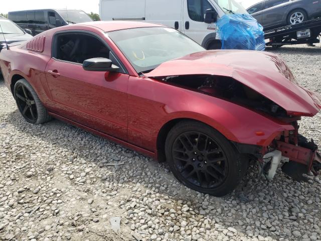 FORD MUSTANG 2014 1zvbp8am4e5324659