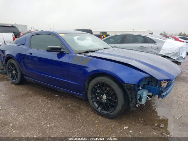 FORD MUSTANG 2014 1zvbp8am4e5326508