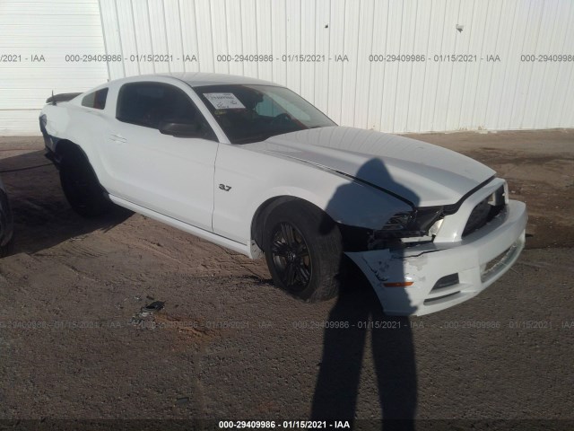 FORD MUSTANG 2014 1zvbp8am4e5333569