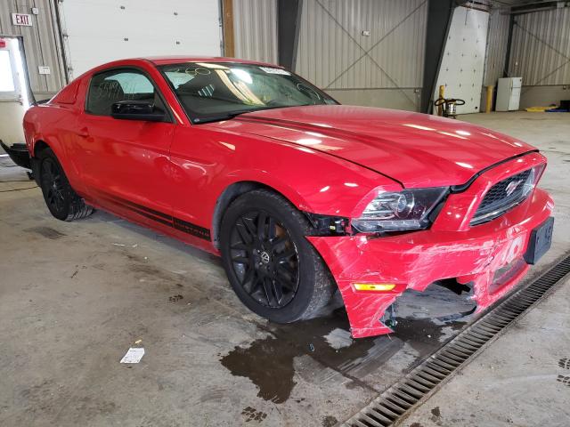 FORD MUSTANG 2014 1zvbp8am4e5334446