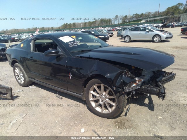 FORD MUSTANG 2011 1zvbp8am5b5103227