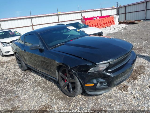 FORD MUSTANG 2011 1zvbp8am5b5104197