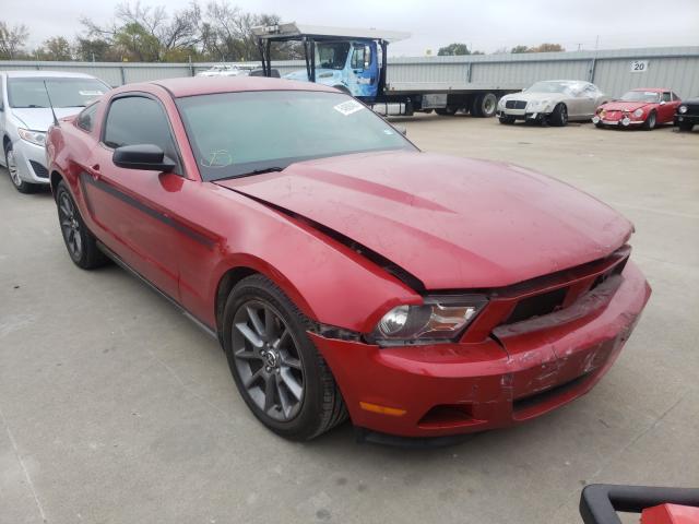 FORD MUSTANG 2011 1zvbp8am5b5104605