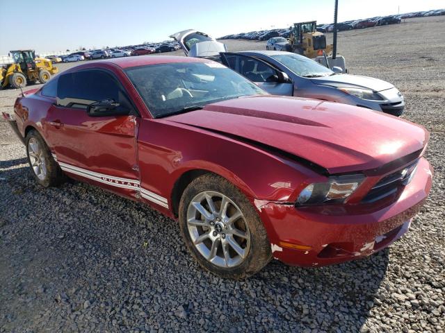 FORD MUSTANG 2011 1zvbp8am5b5107391