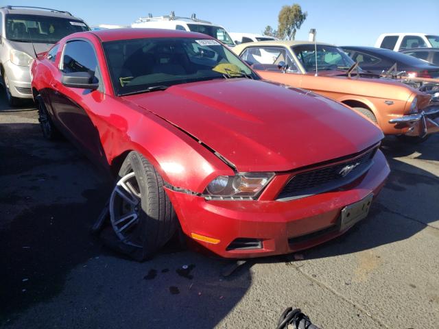 FORD MUSTANG 2011 1zvbp8am5b5109299