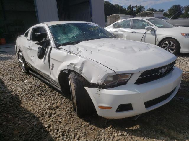 FORD MUSTANG 2011 1zvbp8am5b5114101