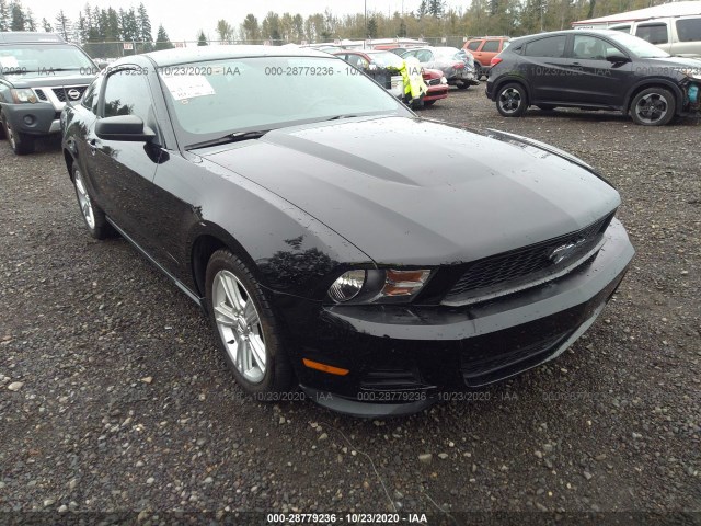 FORD MUSTANG 2011 1zvbp8am5b5115216