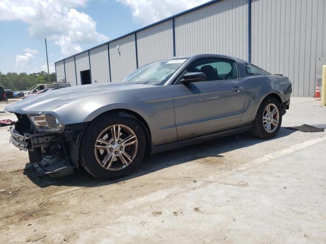 FORD MUSTANG 2011 1zvbp8am5b5116740