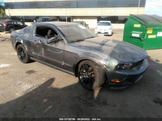 FORD MUSTANG 2011 1zvbp8am5b5117614