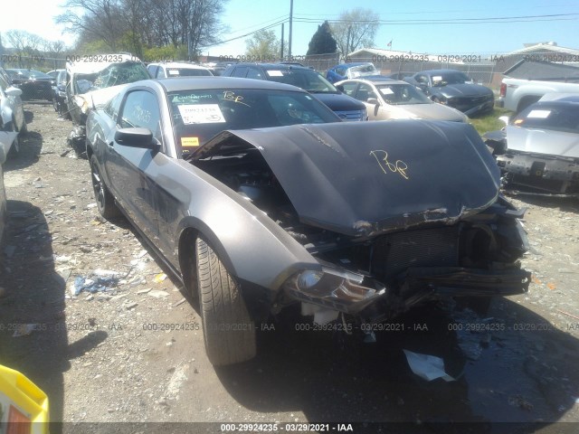 FORD MUSTANG 2011 1zvbp8am5b5124059