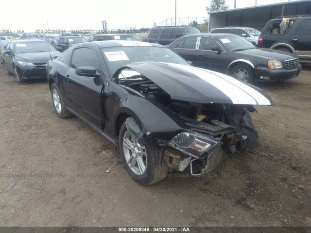 FORD MUSTANG 2011 1zvbp8am5b5125065