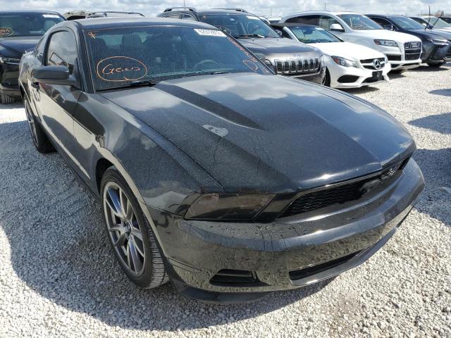 FORD MUSTANG 2011 1zvbp8am5b5135661